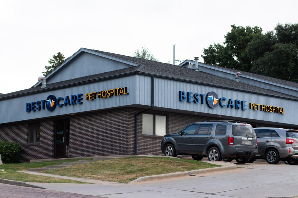 Best Care Pet Hospital