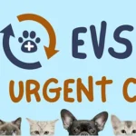 Pet Urgent Care Near Me