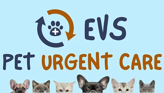 Pet Urgent Care Near Me